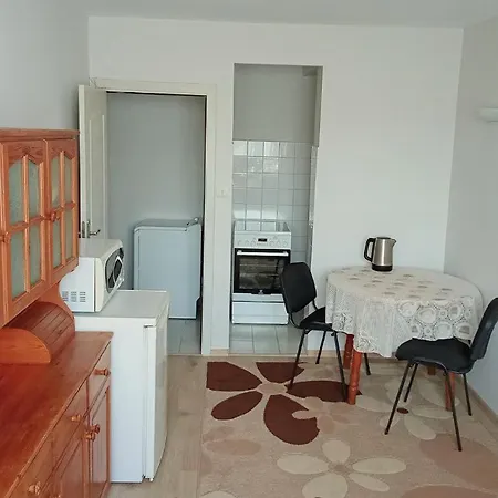 Two-room In The Center 内塞伯尔