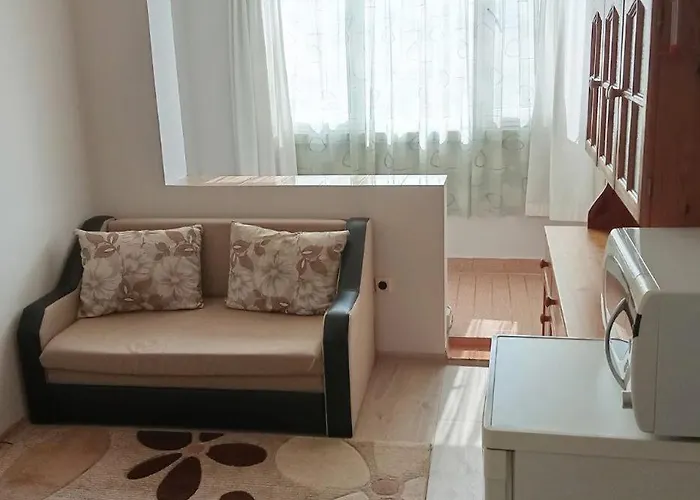 Two-room In The Center 民宿 内塞伯尔